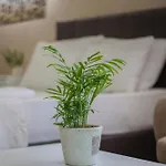 아파트호텔 Huzur Royal 3*