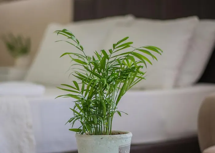 Ξενοδοχείο με διαμερίσματα Huzur Royal 3*